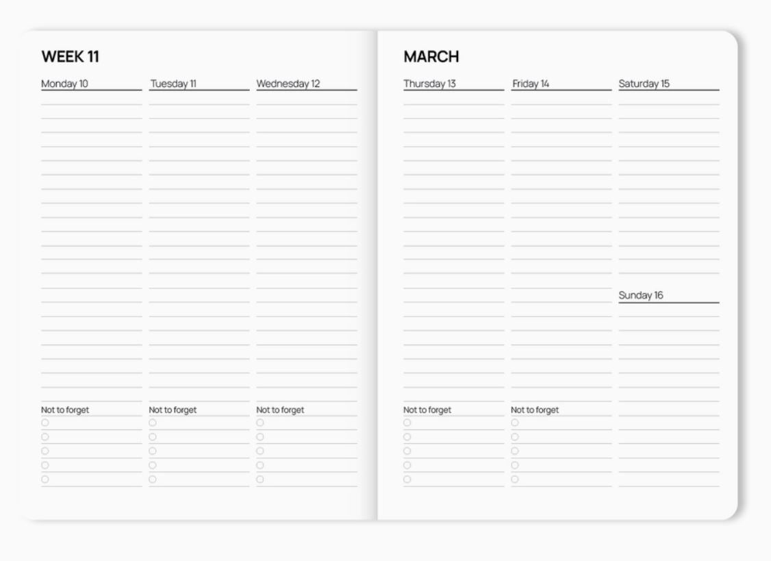Diary 2025 - Listras rosa