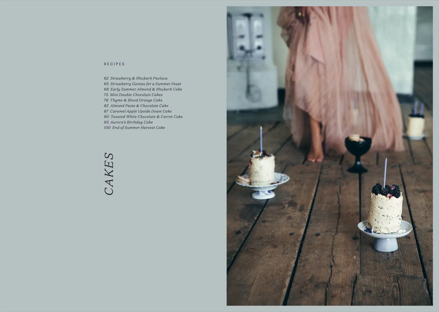 Gateaux Ands The Fortress - livro de cozedura