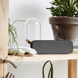 aGROOVE Portable Music Player