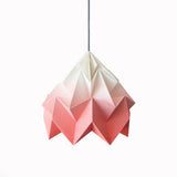 Lamp - Gradient Coral