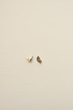 Earings | Sunnies -  Gold | French Pink | Tulip Pink | Hortensia Blue | Paris Green